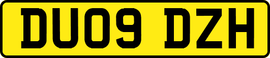 DU09DZH