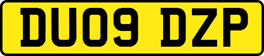 DU09DZP