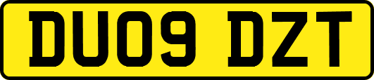 DU09DZT