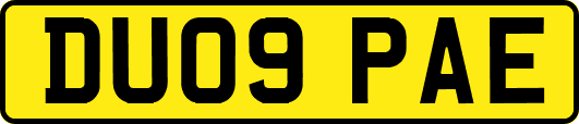 DU09PAE