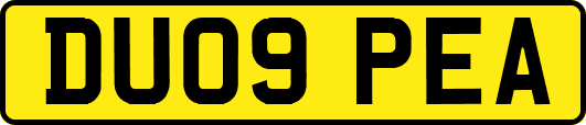 DU09PEA
