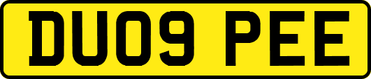 DU09PEE