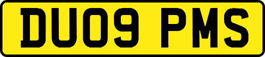DU09PMS