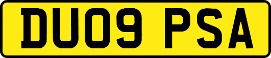 DU09PSA