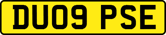 DU09PSE