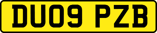 DU09PZB