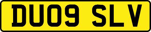 DU09SLV