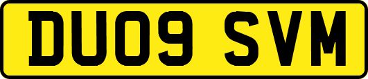 DU09SVM