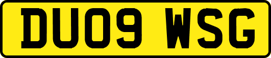 DU09WSG