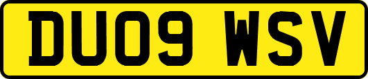 DU09WSV