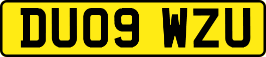 DU09WZU