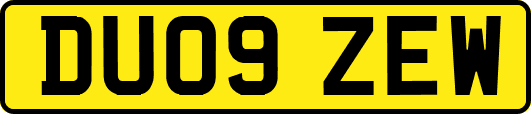 DU09ZEW