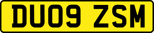 DU09ZSM