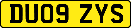 DU09ZYS