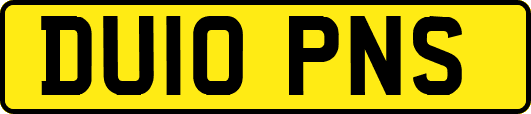 DU10PNS