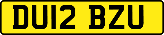 DU12BZU