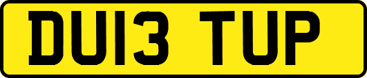 DU13TUP