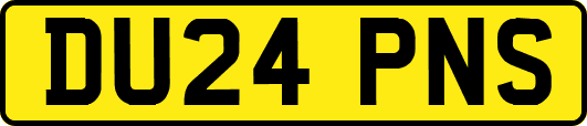 DU24PNS