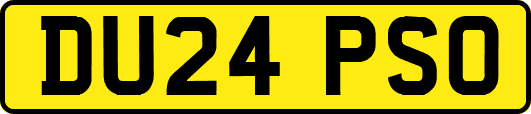 DU24PSO