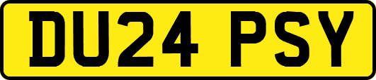 DU24PSY