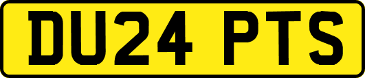 DU24PTS