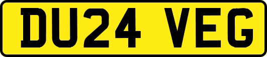 DU24VEG
