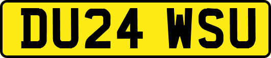 DU24WSU