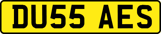 DU55AES
