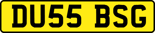DU55BSG