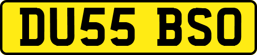 DU55BSO