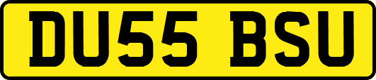 DU55BSU