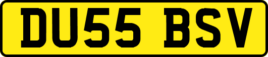 DU55BSV