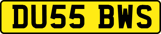 DU55BWS