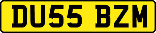 DU55BZM