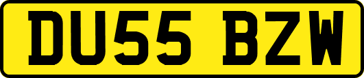 DU55BZW