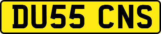 DU55CNS