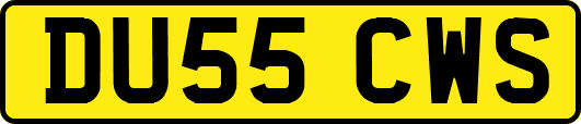 DU55CWS