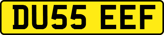 DU55EEF