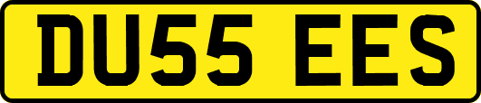 DU55EES