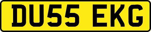 DU55EKG