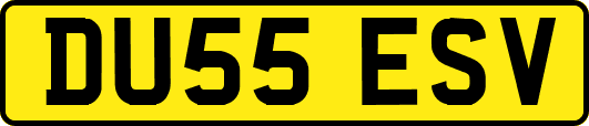 DU55ESV
