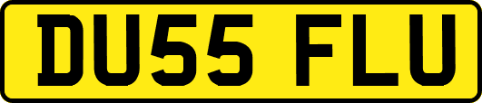 DU55FLU