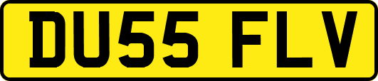DU55FLV