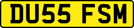 DU55FSM