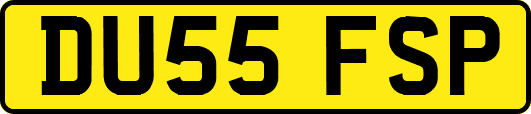 DU55FSP