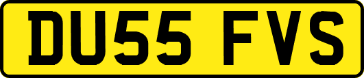 DU55FVS