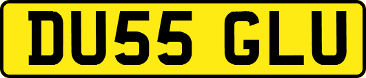 DU55GLU