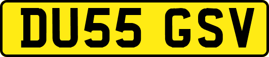 DU55GSV