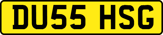 DU55HSG