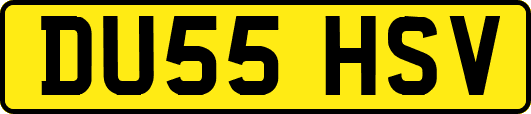 DU55HSV